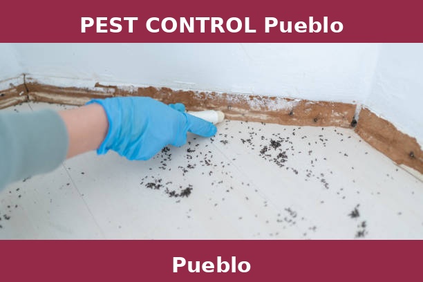 PEST CONTROL Pueblo